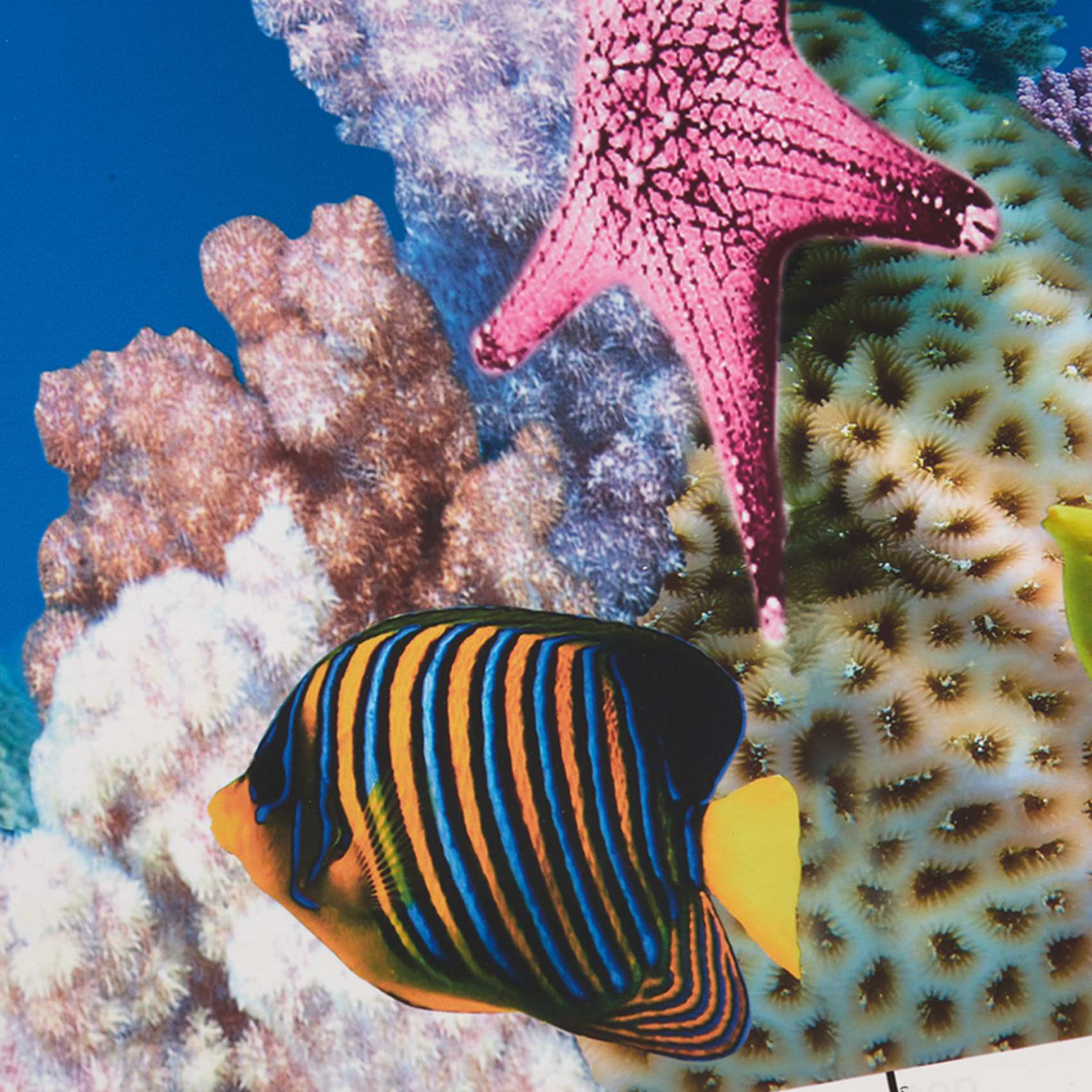 Aquarium Fish Wallpaper Hd - Papier de fond pour aquarium ABWR