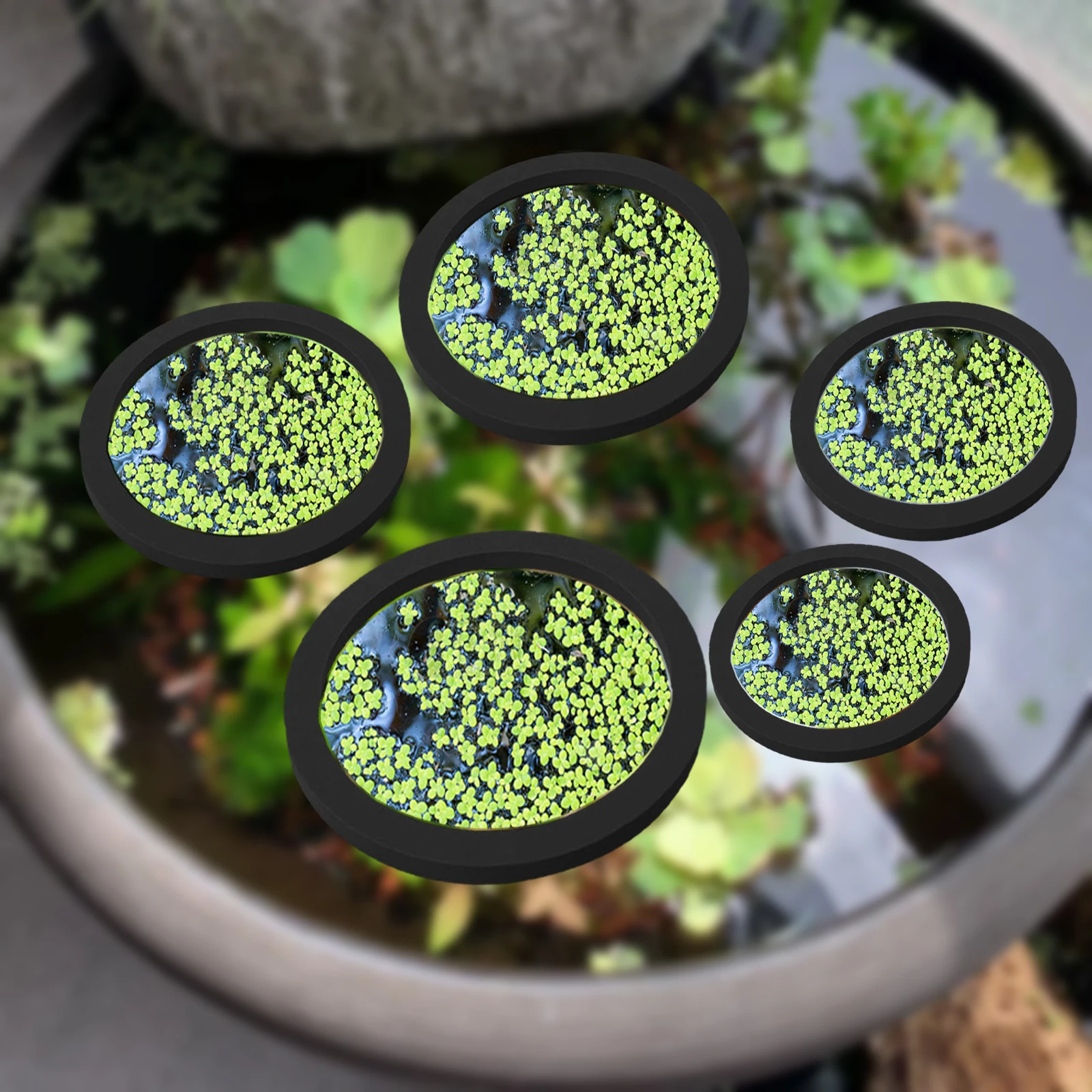 Aquarium Fish Marine - Anneaux d'Alimentation pour Aquarium, Plante Flottante,