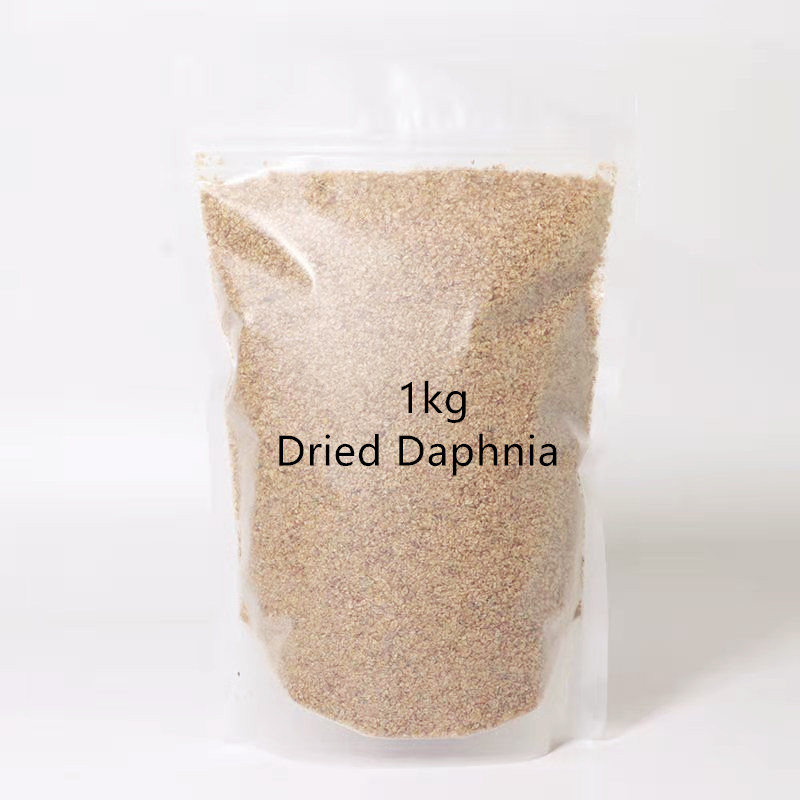 Aquarium Fish Discus - 1kg sec Daphnia Guppy nourriture pour
