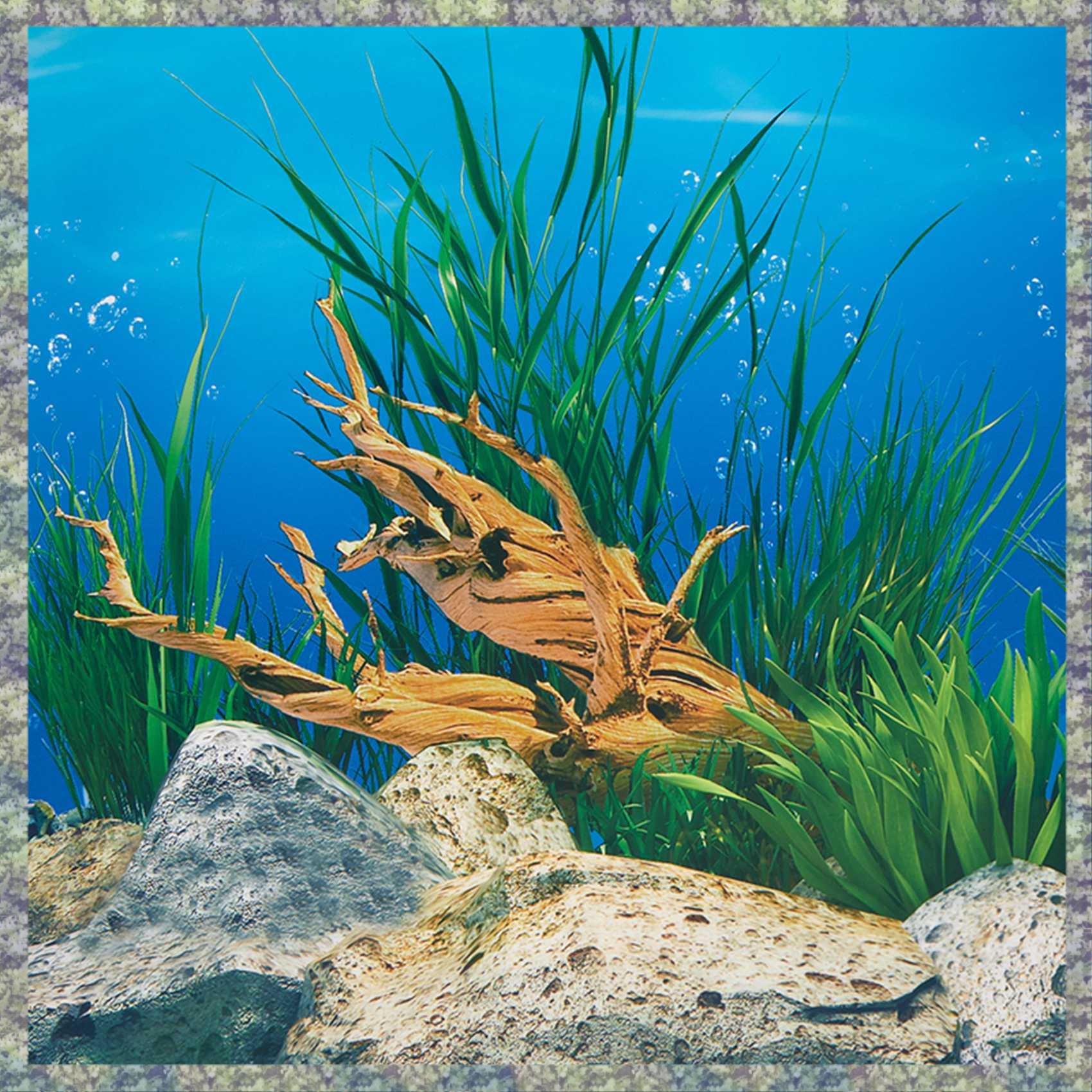 Aquarium Fish Wallpaper Hd - WON Aquarium fond papier HD image