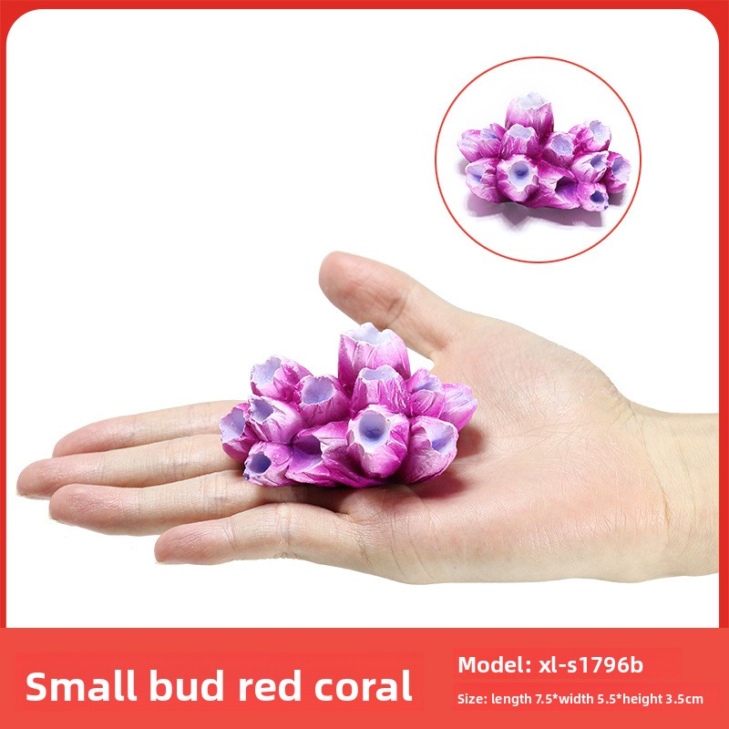 SYSENCIAGA Récif de corail de  - Aquarium Fish Unique avis et prix