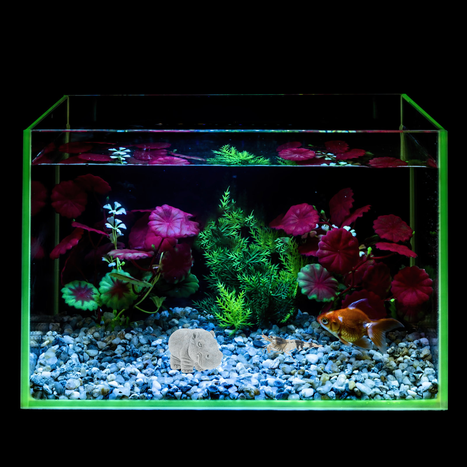Figurines uniques d'hippopotam - Aquarium Fish Unique avis et prix