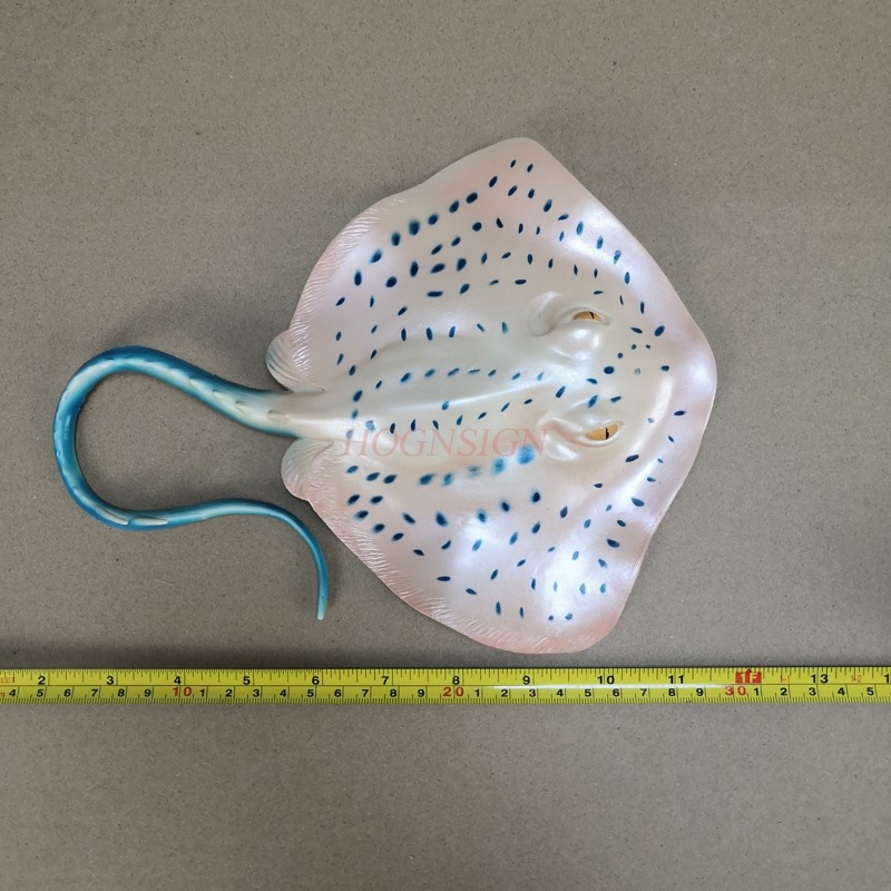 Modèles d'animaux d'aquarium,  - Aquarium Fish Market avis et prix