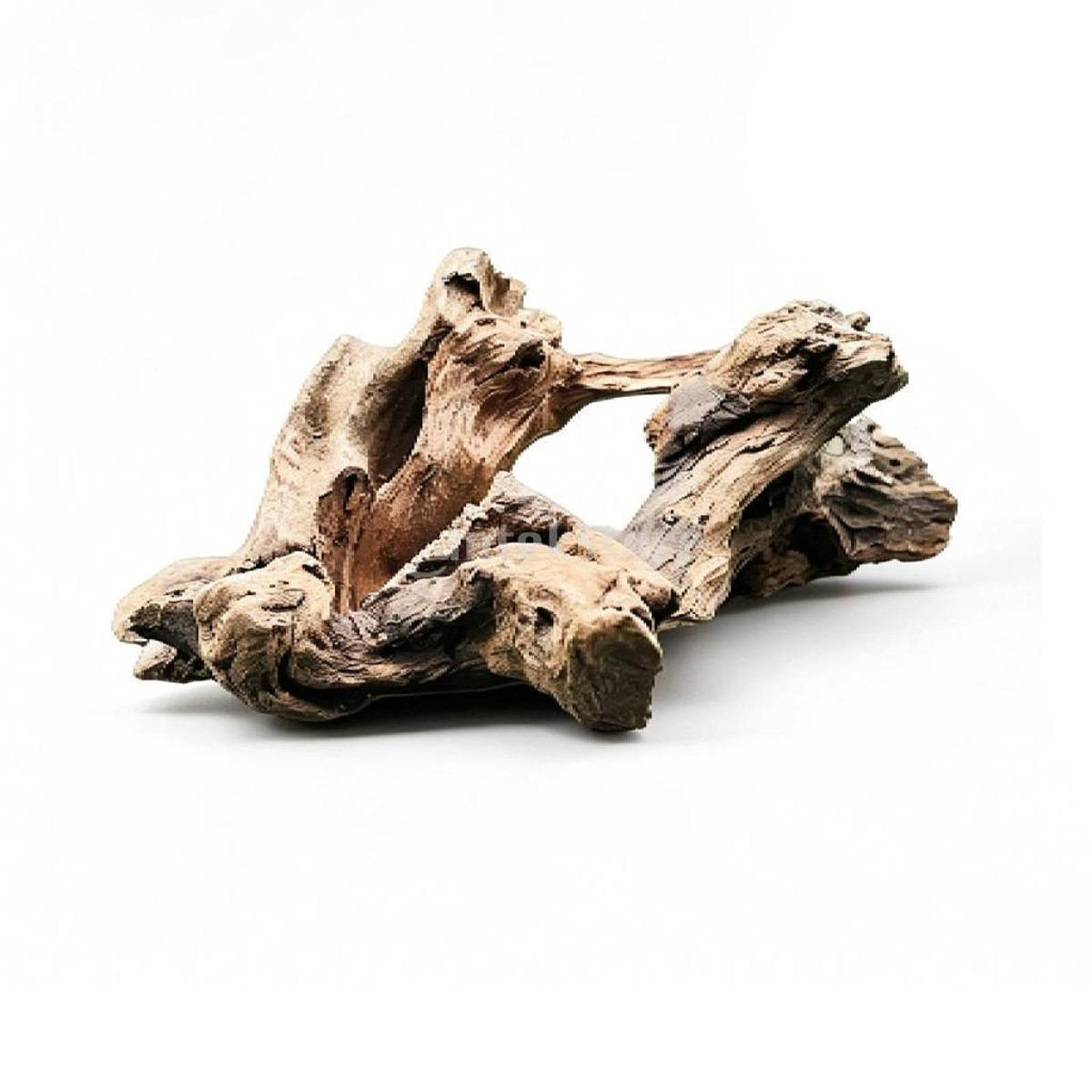 5 pièces de bois flotté pour a - Aquarium Fish Unique avis et prix