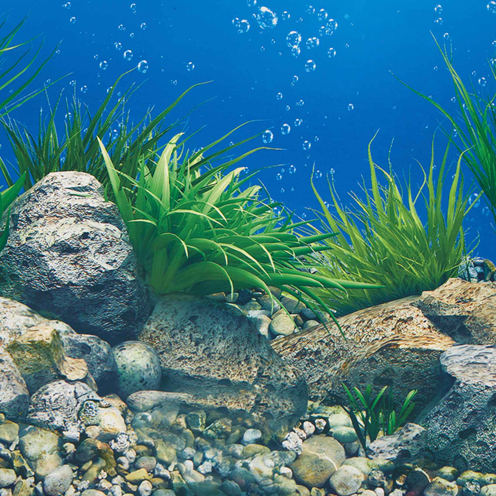 A77I Aquarium fond papier HD i - Aquarium Fish Wallpaper Hd avis et prix