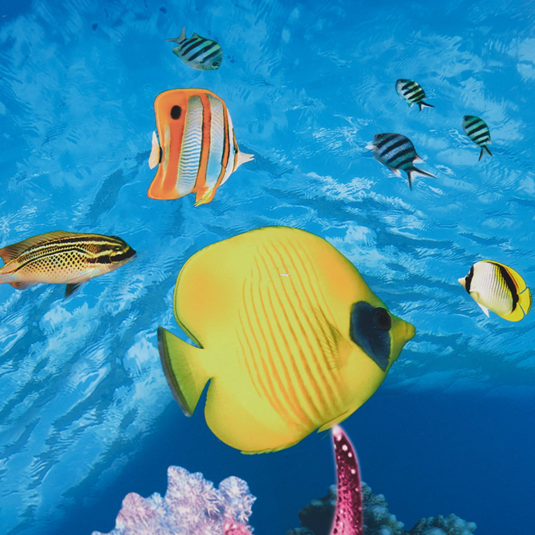 A77I Aquarium fond papier HD i - Aquarium Fish Wallpaper Hd avis et prix