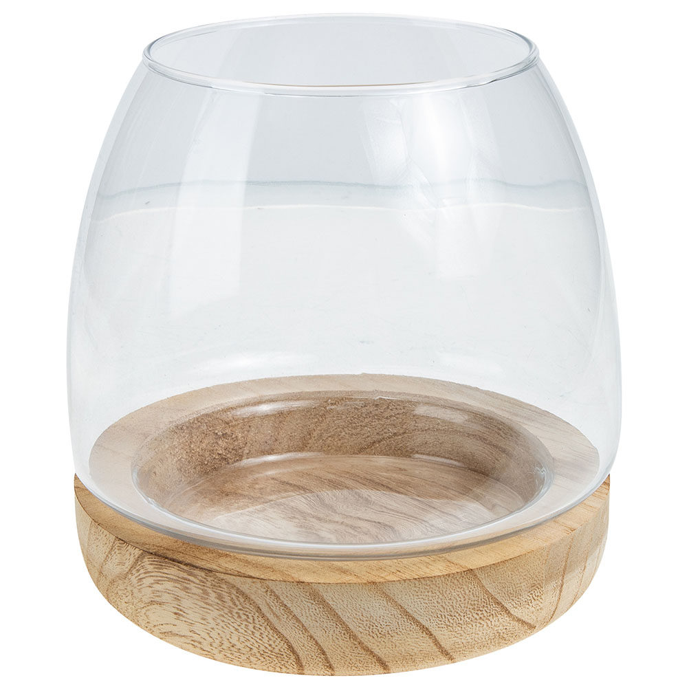 1 Ensemble de terrarium hydrop - Aquarium Fish Unique avis et prix
