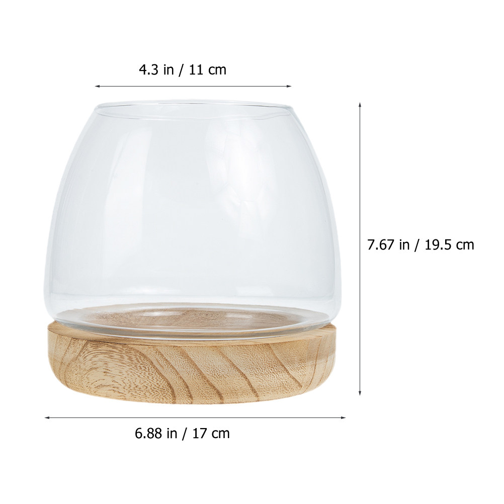 1 Ensemble de terrarium hydrop - Aquarium Fish Unique avis et prix