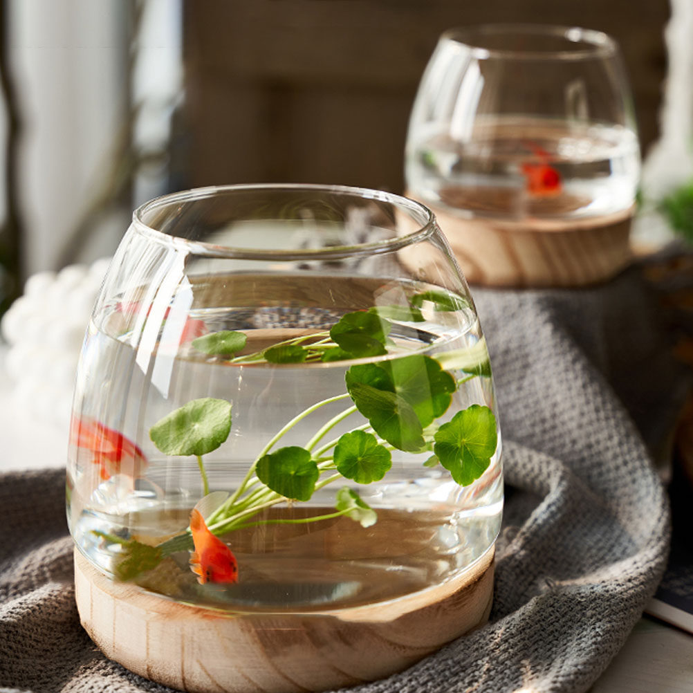 1 Ensemble de terrarium hydrop - Aquarium Fish Unique avis et prix