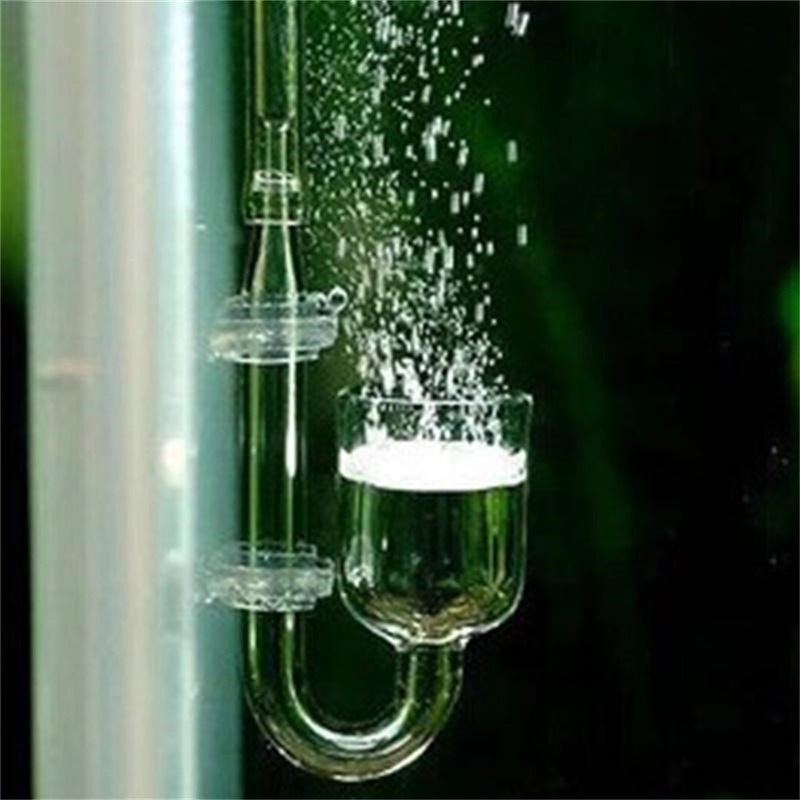 Diffuseur de CO2 en forme de U - Aquarium Fish Discus avis et prix