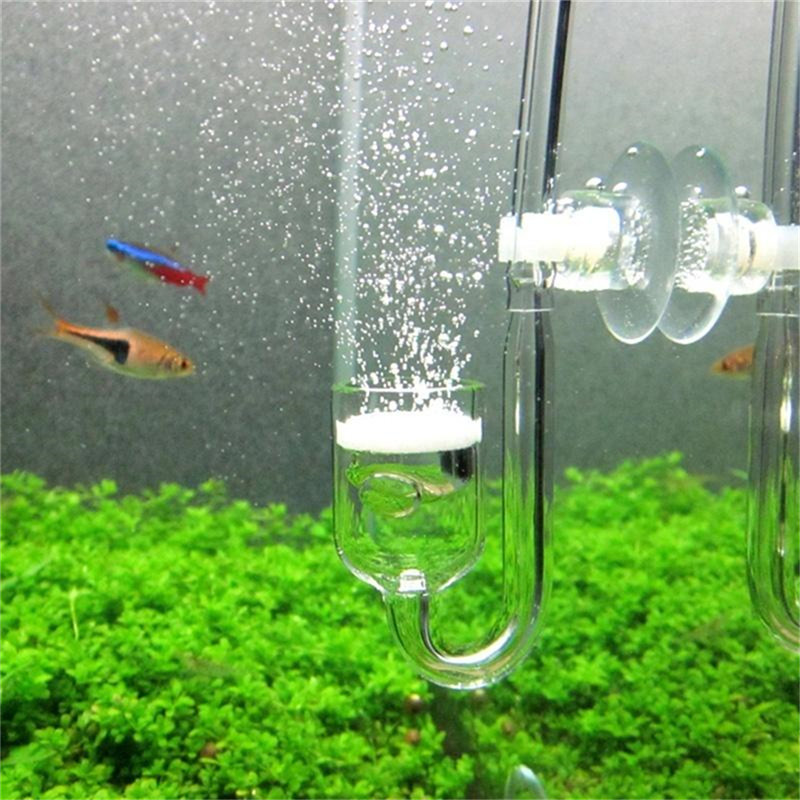 Diffuseur de CO2 en forme de U - Aquarium Fish Discus avis et prix