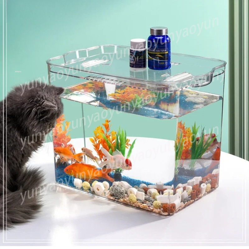 Bol d'aquarium transparent en  - Aquarium Fish Unique avis et prix