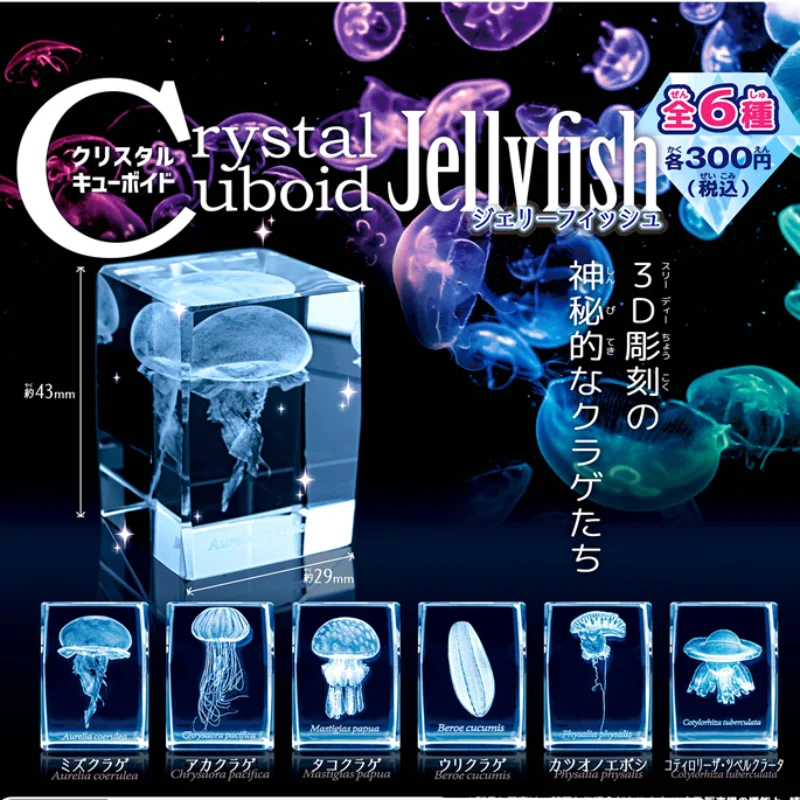 Gashapon Méduse 3D Clip Cuboïd - Aquarium Fish Discus avis et prix
