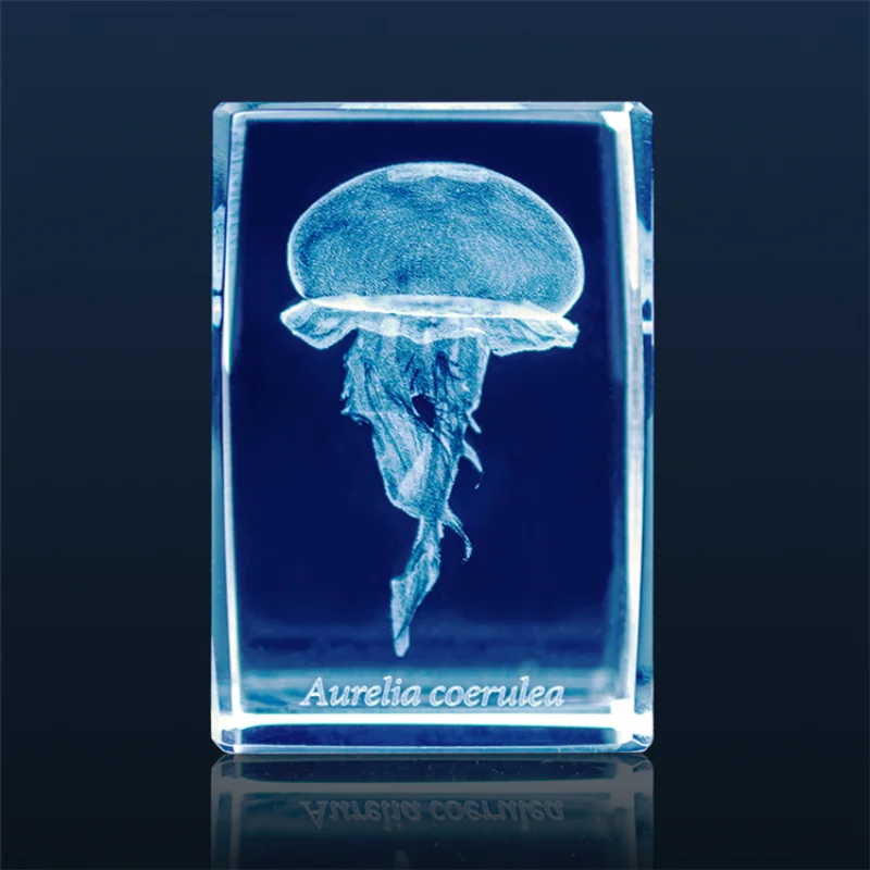 Gashapon Méduse 3D Clip Cuboïd - Aquarium Fish Discus avis et prix