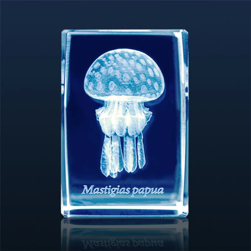 Gashapon Méduse 3D Clip Cuboïd - Aquarium Fish Discus avis et prix