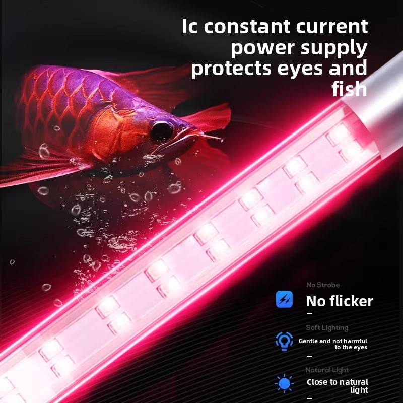 Lumière LED pour aquarium à sp - Aquarium Fish Discus avis et prix