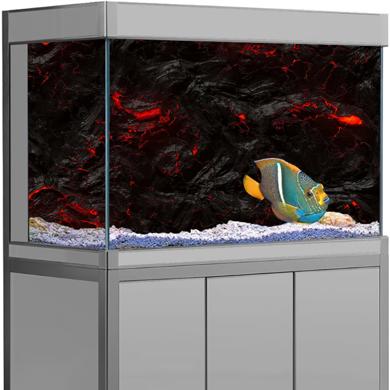 Autocollant de fond d'aquarium - Aquarium Fish Wallpaper Hd avis et prix