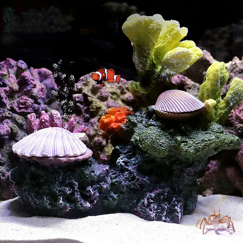 Ornements d'Aquarium de Récif  - Aquarium Fish Discus avis et prix