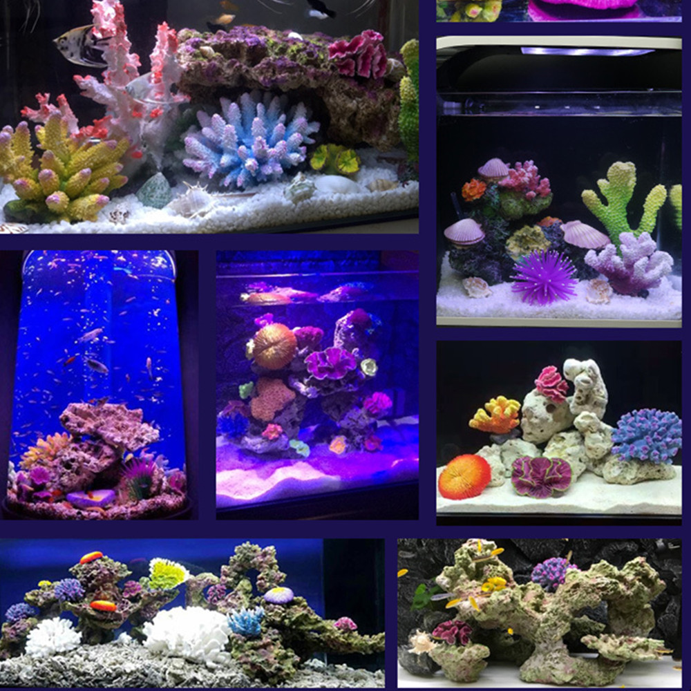 Ornements d'Aquarium de Récif  - Aquarium Fish Discus avis et prix