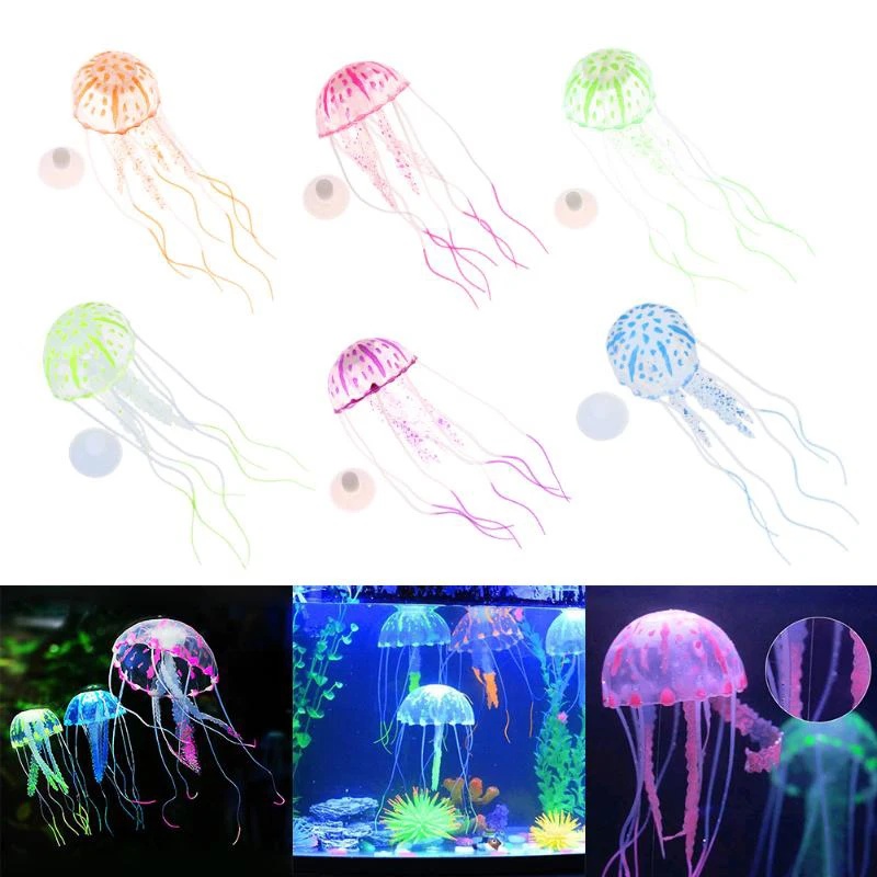 1/2 pièces Ornements de simula - Aquarium Fish Discus avis et prix