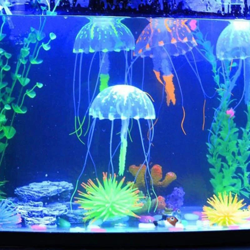 1/2 pièces Ornements de simula - Aquarium Fish Discus avis et prix