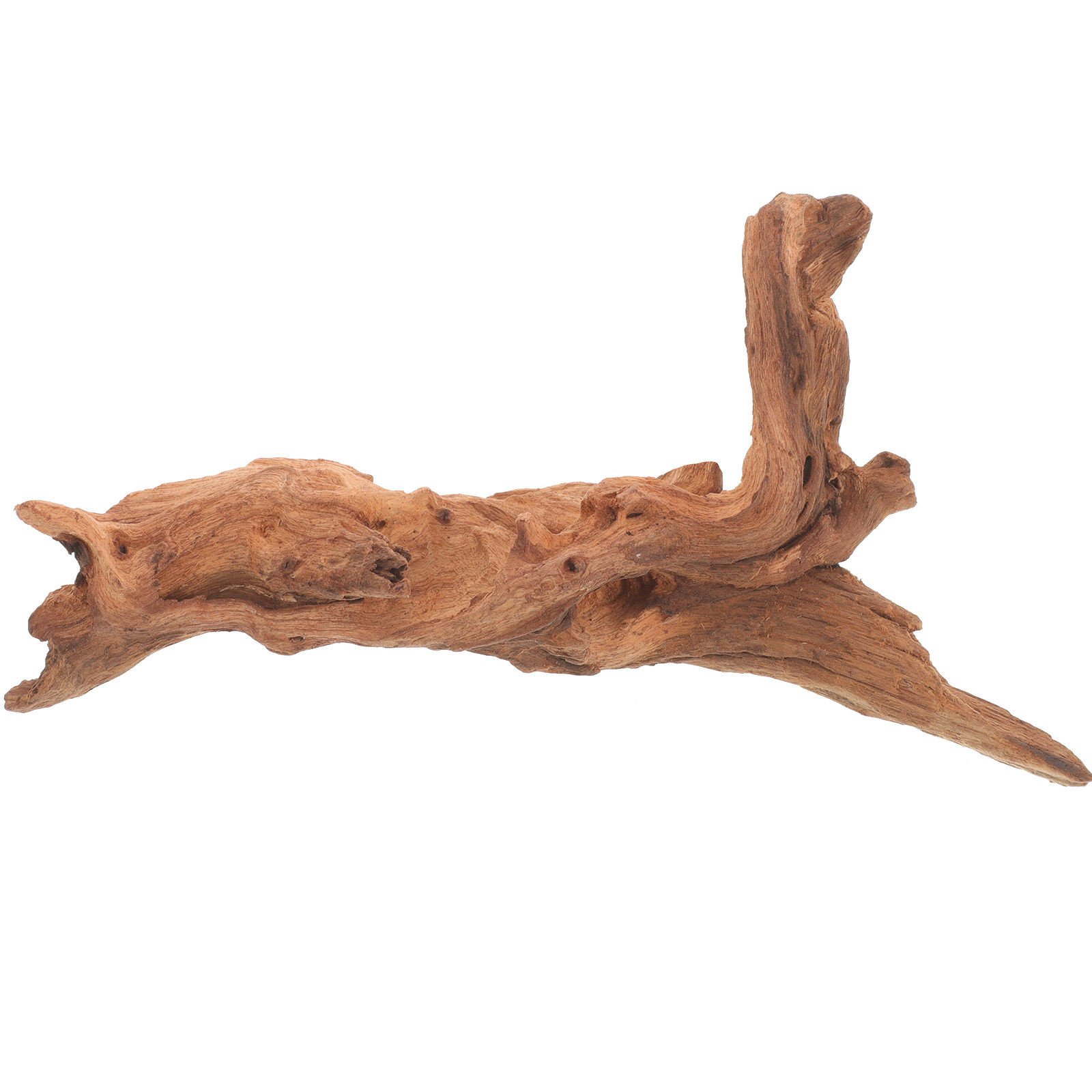 Décoration de bois mort pour a - Aquarium Fish Unique avis et prix