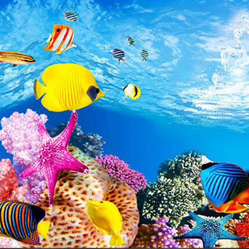 BAAU Aquarium fond papier HD i - Aquarium Fish Wallpaper Hd avis et prix
