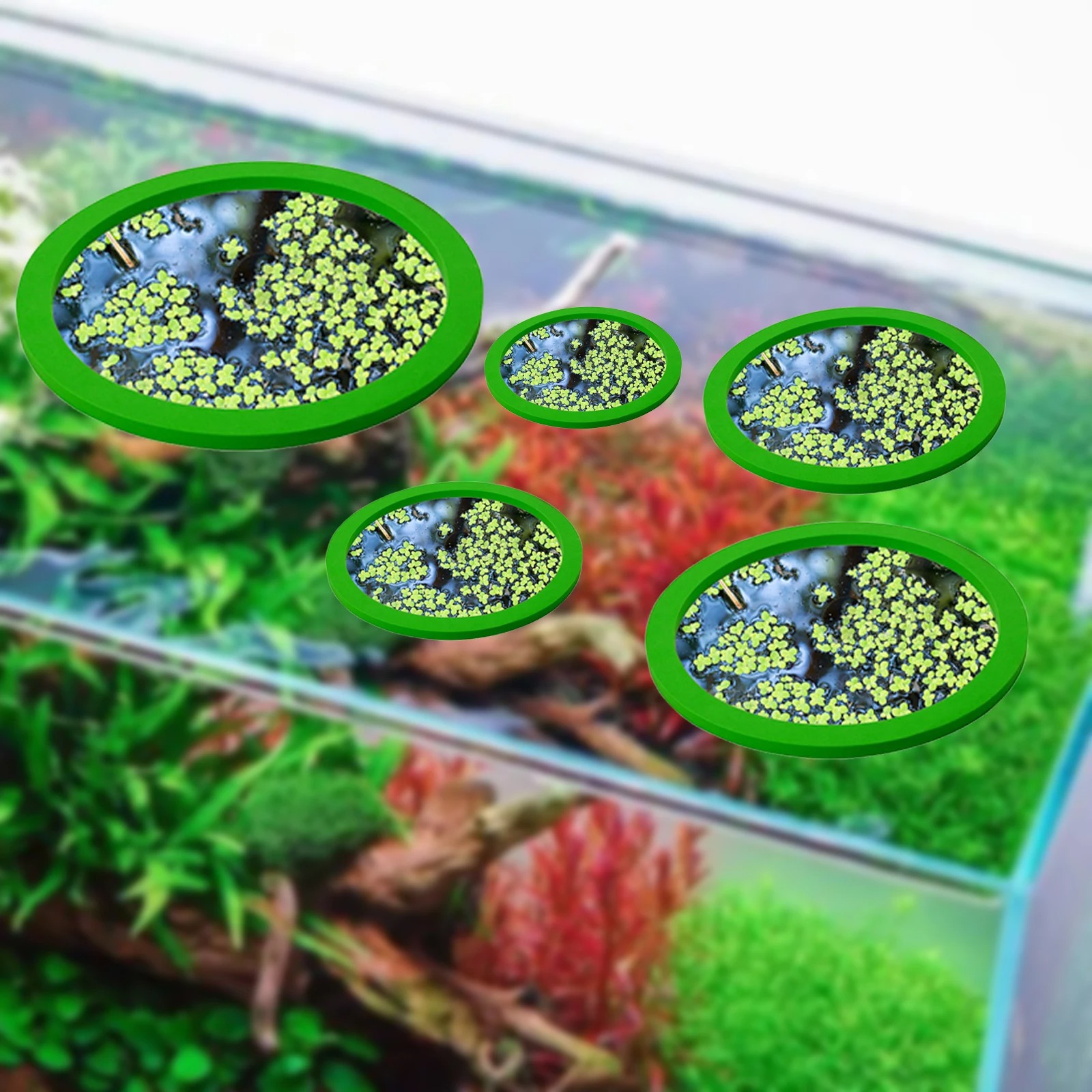 Anneaux d'Alimentation pour Aq - Aquarium Fish Marine avis et prix