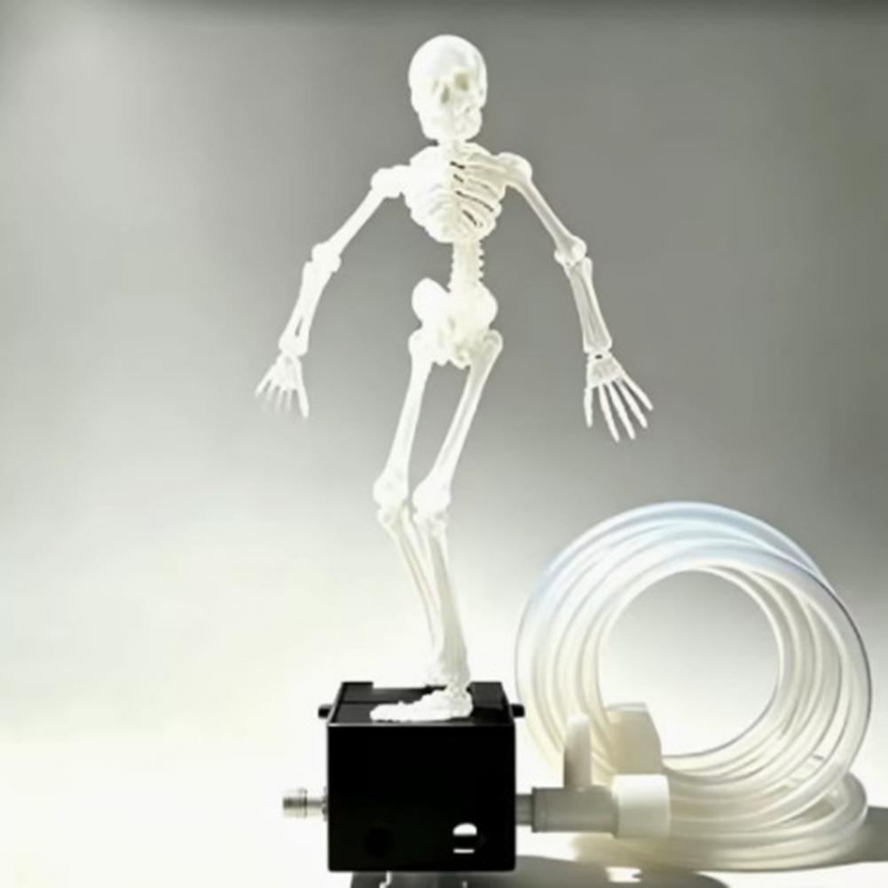 Décorations pour aquarium, Orn - Aquarium Fish Unique avis et prix