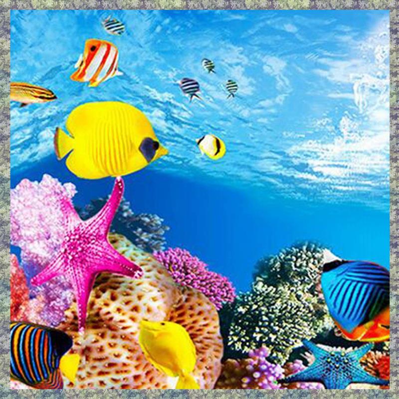 WON Aquarium fond papier HD im - Aquarium Fish Wallpaper Hd avis et prix