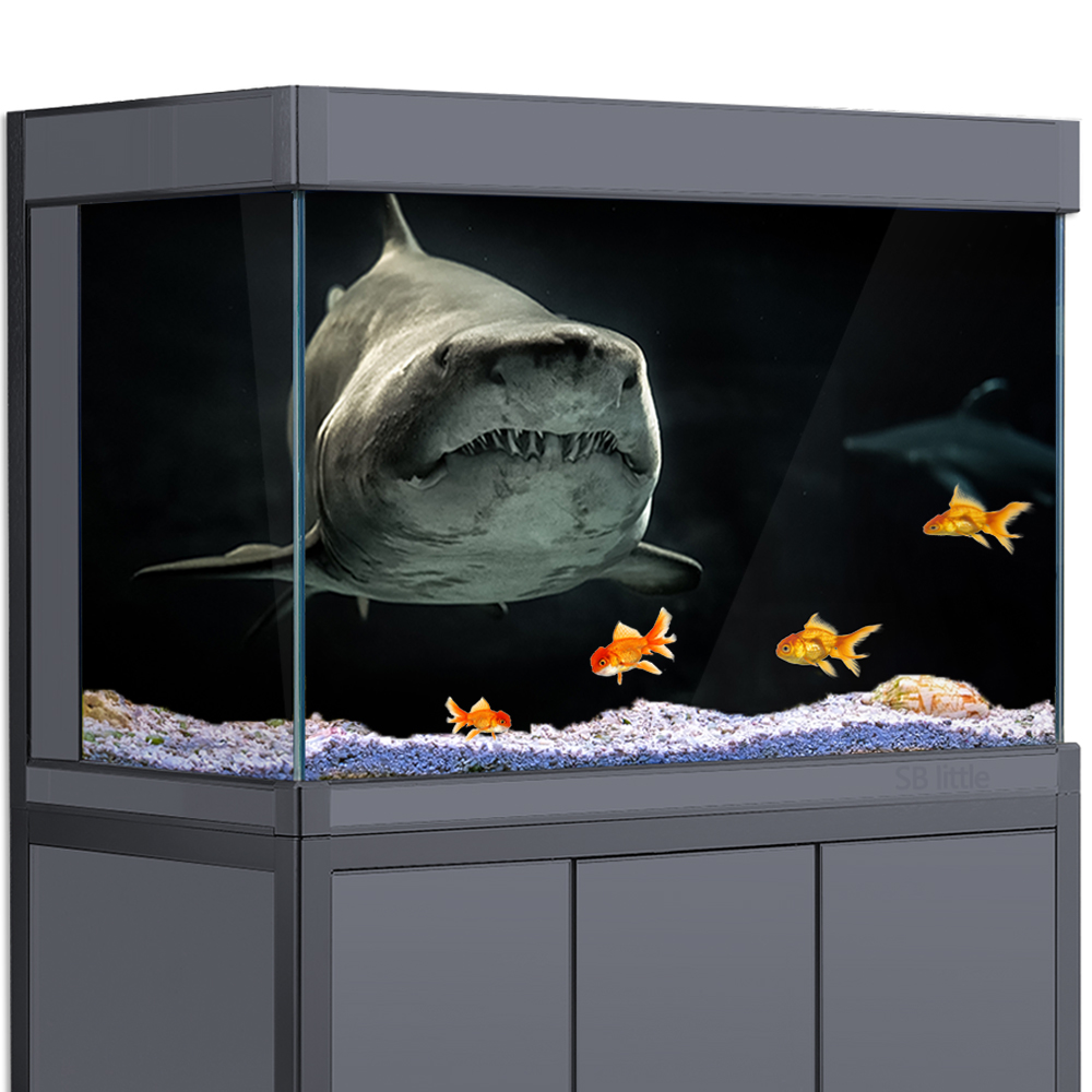 Fond d'aquarium 3D requin noir - Aquarium Fish Wallpaper Hd avis et prix
